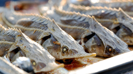 sterlet baked in the oven with spices