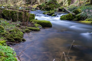 Tranquil stream meandering through a lush forest, with moss-covered rocks jutting out of the water