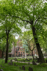 Fototapeta na wymiar Vertical shot of green trees in graveyard with buildings in the background in Boston, Massachusetts