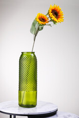 Sunflower in a green vase on a gray background
