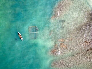 Conch Catcher in the Turks and Caicos.