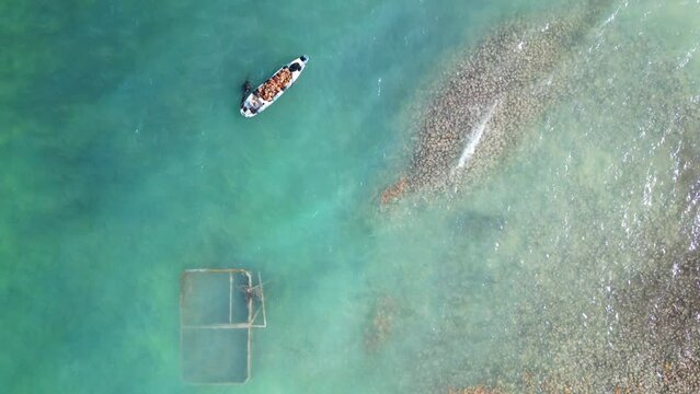 Aerial view of a skilled diver catching conch off the Turks and Caicos Islands' shores.