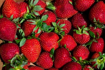 Closeup shot of ripe, juicy strawberries.