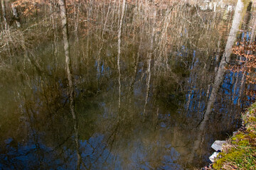 Bäume Spiegelung im Wasser
