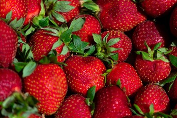 Closeup shot of ripe, juicy strawberries.