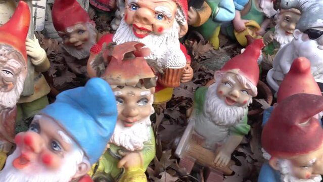 wonderful place in the forest with lot of different garden gnomes