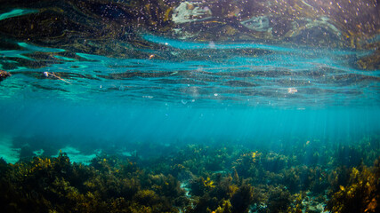 Beautiful underwater scene with light rays.