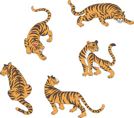 Set of adult big tiger wildlife and cartoon animal design flat vector illustration isolated on white background