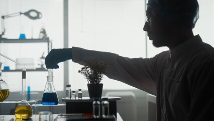 The scientist works in the laboratory. A man pipettes a blue chemical from a flask to add it to a potted plant. Side view of the explorer's dark silhouette. Research concept, biotechnology.