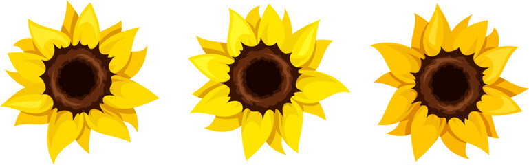 Sunflowers. Set of three orange and yellow sunflowers isolated on a white background. Vector illustration
