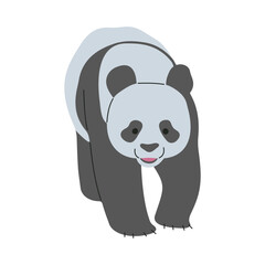 Panda Single 4 cute on a white background, vector illustration