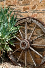 Vertical closeup of a rustic wooden wagon wheel near an aloe plant