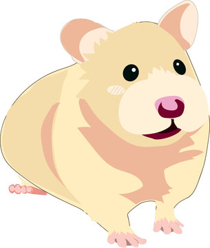 hamster