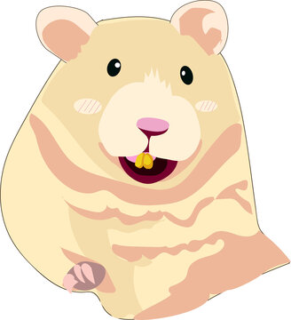 hamster