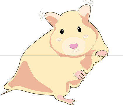 hamster