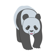 Panda Single 4 PNG