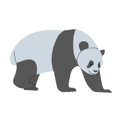 Panda Single 9 PNG