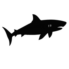 Obraz premium shark swimming isolated on white