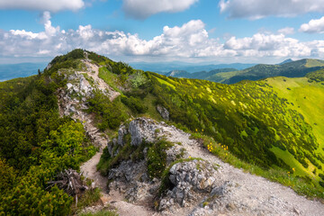 View of the vast mountains in Mala Fatra National Park, Slovakia, on a hot day of summer with cloudy sky. Summer hiking in the mountains. Green and blue colors. Hiking trail on the ridge.