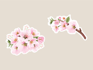watercolor cherry blossom sticker set