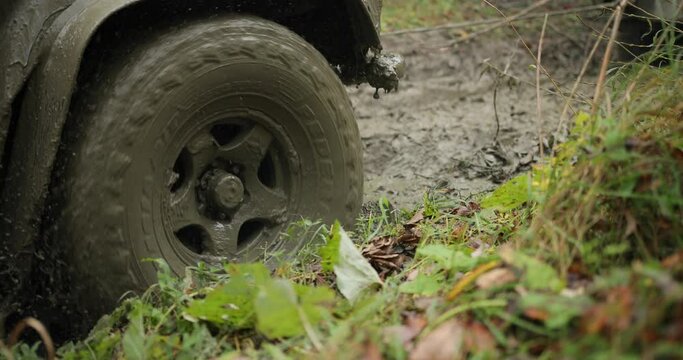 Close-up of a car wheel stuck in the dirty water and mud. Wheel is spinning, but it helpless