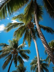 Palmiers tropicaux sur fond de ciel bleu, IA générative, Générative, IA
