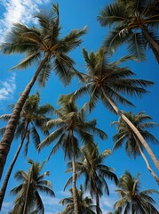 Palmiers tropicaux sur fond de ciel bleu, IA générative, Générative, IA