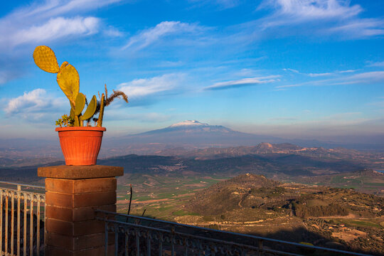Pot of prickly pear plant and volcano Etna, Aidone