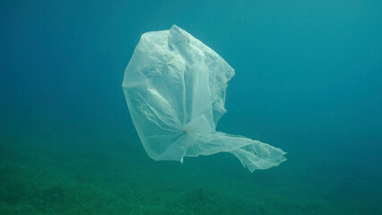 Old plastic bag drifting in  water column over seagrass meadow. Plastic bag floating underwater on the blue depth, environmental pollution. Plastic pollution of Ocean, Red sea, Safaga, Egypt