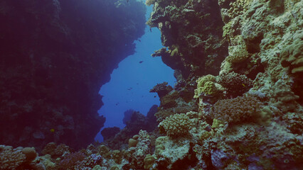 Coral caves on sunny day in bright sunlight, Backlighting (Contre-jour) Red sea, Safaga, Egypt