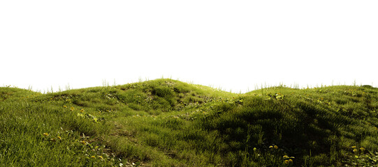 Hills with grass with dandelions on a transparent background. 3D rendering.