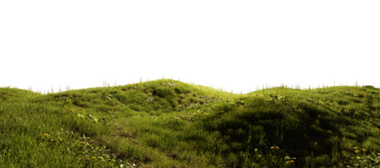 Hills with grass with dandelions on a transparent background. 3D rendering.