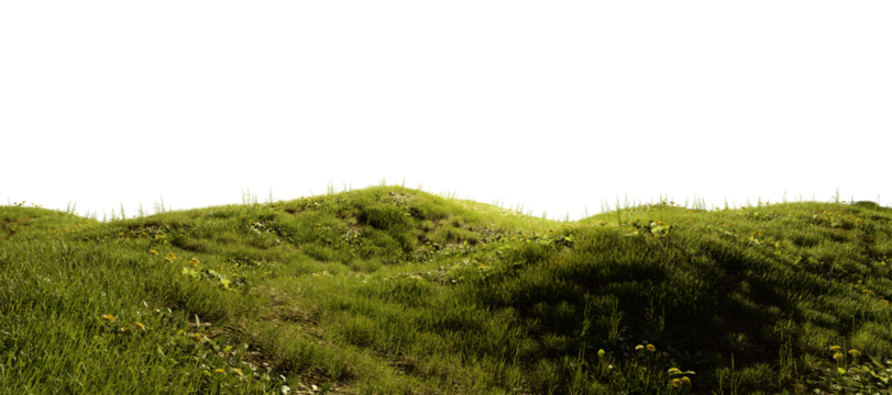 Hills with grass with dandelions on a transparent background. 3D rendering.