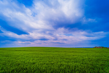 Obraz premium Windmill farm at the fields with beautiful blue sky