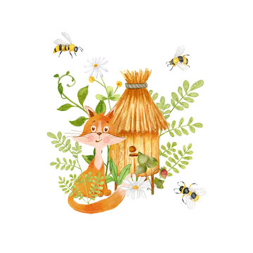 A fox near a beehive in the grass. Red fox and bees illustration isolated on white background.