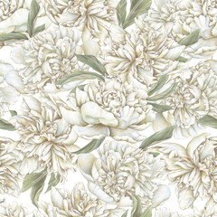 White pastel peony seamless pattern. Hand drawn blooming floral background. Soft tones - 619051944