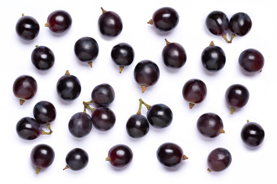 Black Grapes On White Background