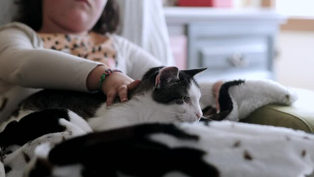 girl rubbing her adorable cat lying on a fluffy rug