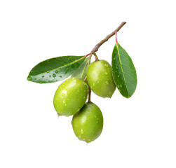 green olives isolated on white