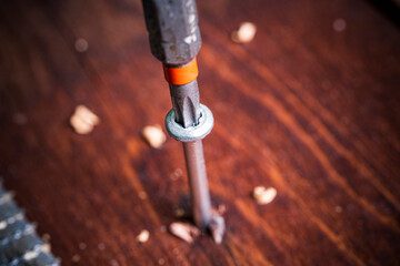 working tool rasp, drill shavings. wood processing concept