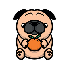 A CUTE PUG IS HOLDING AN ORANGE CARTOON VECTOR