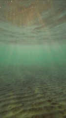 Low angle wide shot sun rays penetrating surface of water in the morning time, Underwater light creates beautiful veil, consisting of sunlight in the morning time, Red sea, Egypt