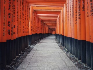 Endless Torii Gates of Fushimi Inari Shrine