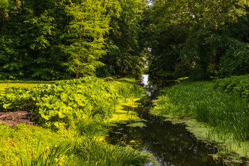 Fototapeta na wymiar Lutynia river in beautiful garden in Smielow. Poland.