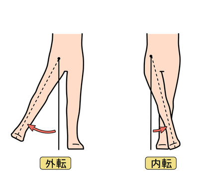 外転・内転