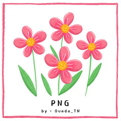 Hand drawn illustration of pink flowers and leaves, Pink daisy. Flower isolated on white background.