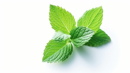 Fresh mint leaves on a white background. AI generated.