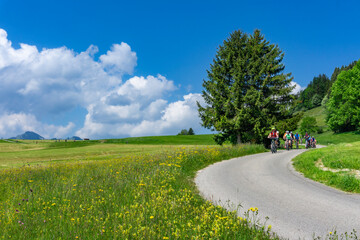 Radfahren im Urlaub im Allgäu nähe der Burgruine Hohenfreyberg, Zell, Eisenberg: Gruppe von Senioren auf E-Bikes und normalen Fahrrädern - obrazy, fototapety, plakaty