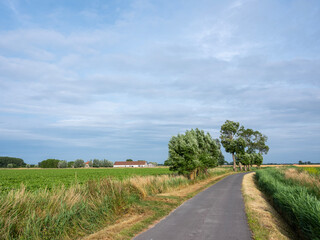 country road with trees and old farm in belgian province of west flanders - obrazy, fototapety, plakaty