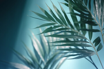 Palm leaf casting shadow. Tropical background